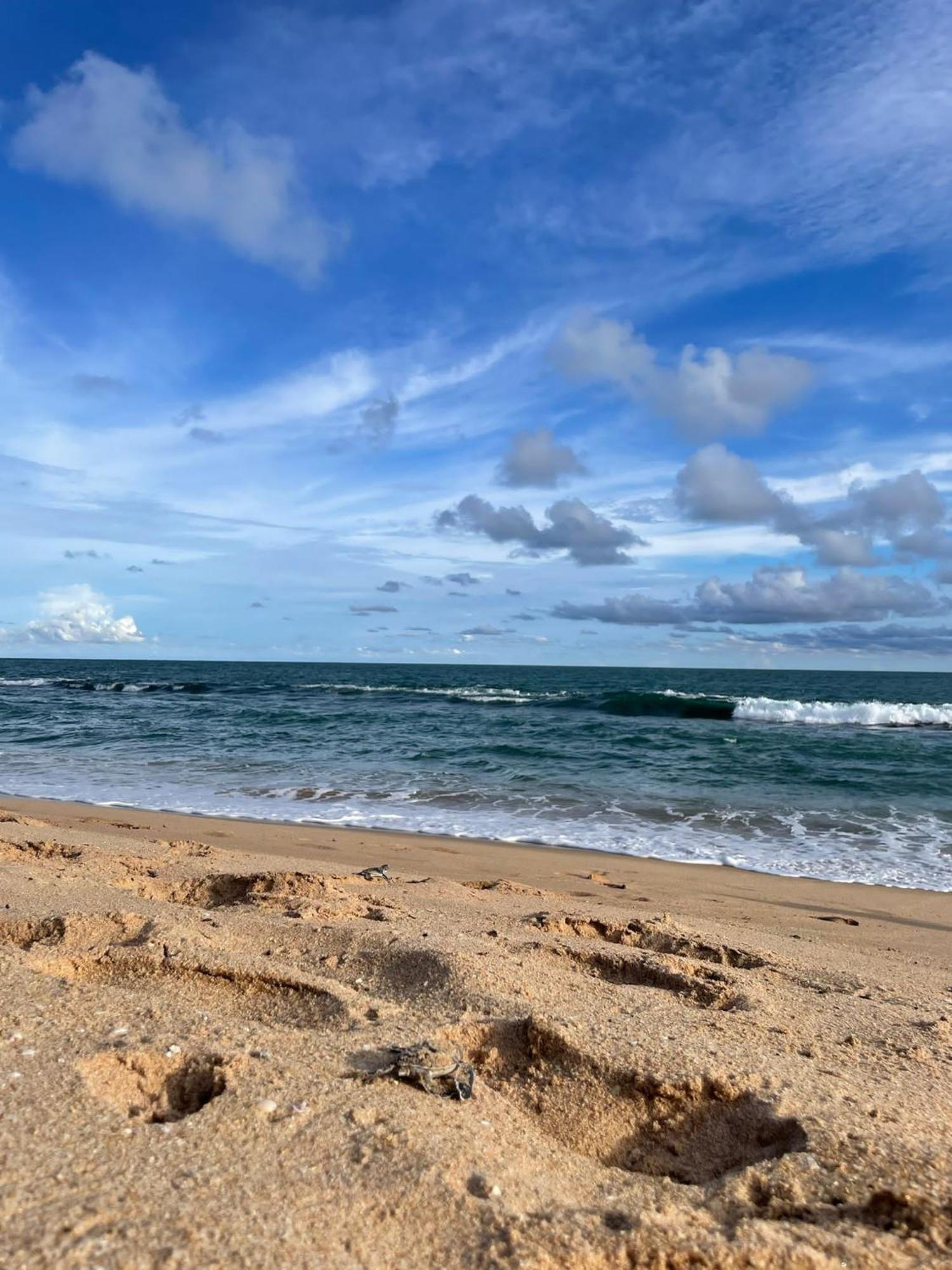 Green Turtle Tangalle Εξωτερικό φωτογραφία